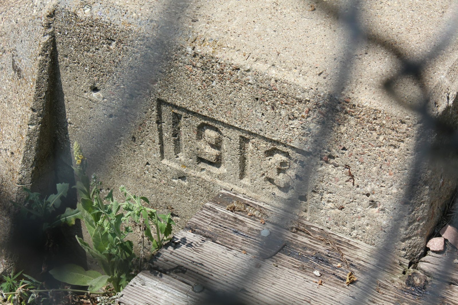 Date stamp
